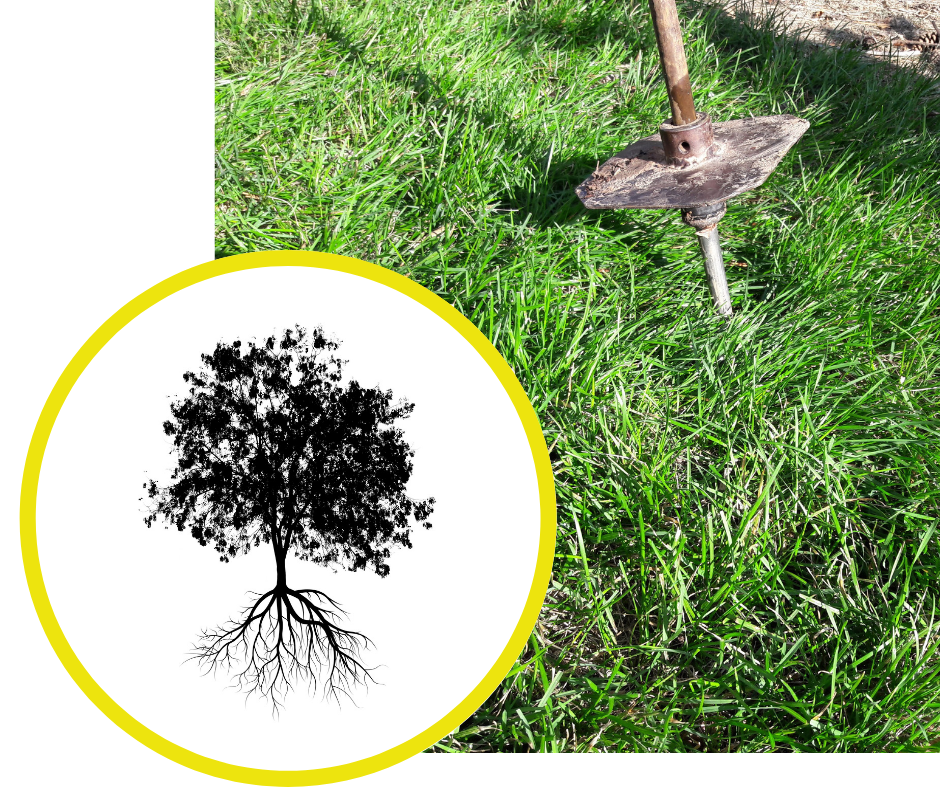 Post image Deep Root Feed Fertilization Probe in grass with tree graphic