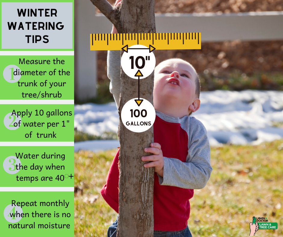 Winter Watering Tips