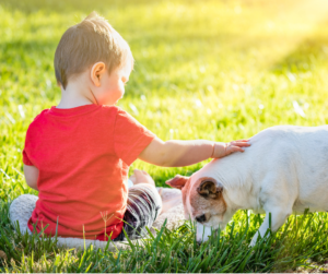 kid petting dog in green lawn