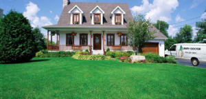 Green Grass in Windsor