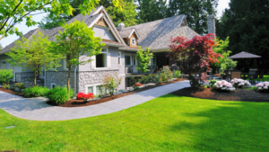Service for lawn treatment in Windsor