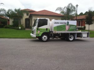 Growing Green Grass in Fort Myers