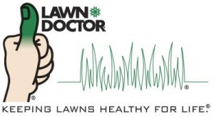 Lawn Doctor - a Lawn Service in Fredericksburg - VA