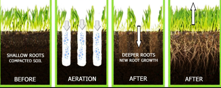 The Lawn Aeration Process