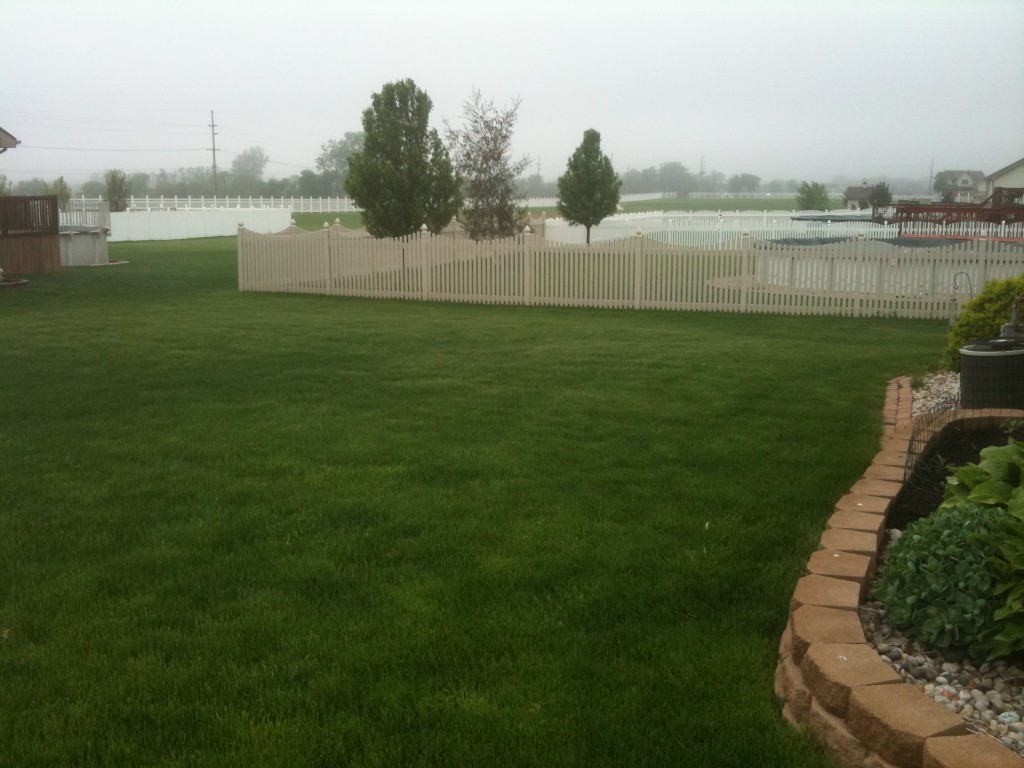 A well manicured green backyard showing lawn weed control in Griffith