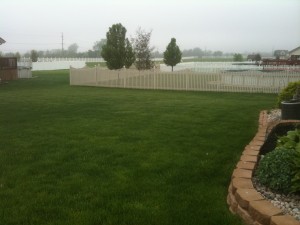 green lawn with fence treated by lawn care in Griffith