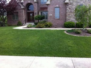 Beautiful lawn in front of house showing lawn care services in Griffith