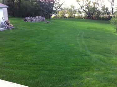 After a completed lawn seeding project in the Saint John showing yard care service in Griffith