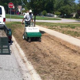 Before completed lawn seeding in Griffith