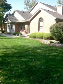 After a completed lawn seeding project in the Schererville showing weed control in Griffith