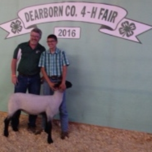 County Fair market lamb purchase