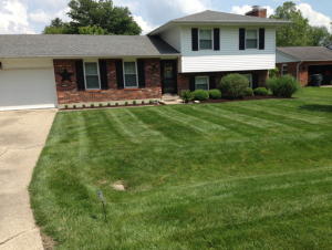A beautifully manicured front lawn showing lawn care services in Harrison