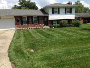 lawn care Lawrenceburg IN