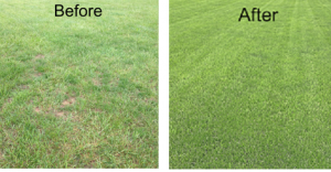 before and after lawn care services in Harrison
