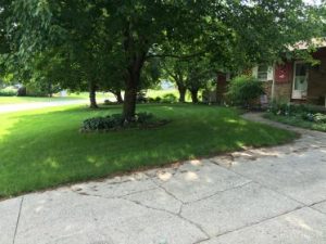 Lawn Fertilizer Service in Hudsonville
