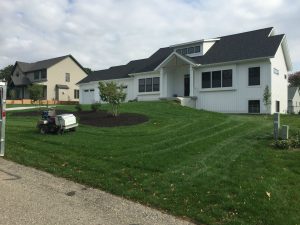 after lawn fertilization showing lawn aeration in Grandville