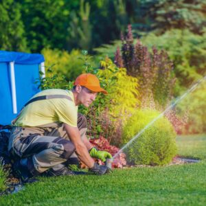 Great Lawn Care Company in Jenison