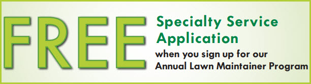Lawn Care Service