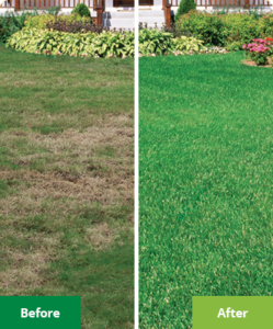 Lawn Aeration in Lake Nona