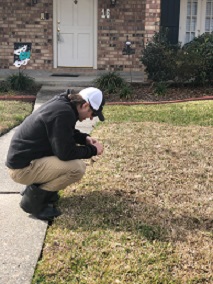 Man bent down inspecting brown grass