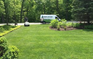 Beautiful lawn of a house after lawn maintenance in Palatine