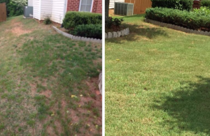 before and after of lawn services in Suwanee