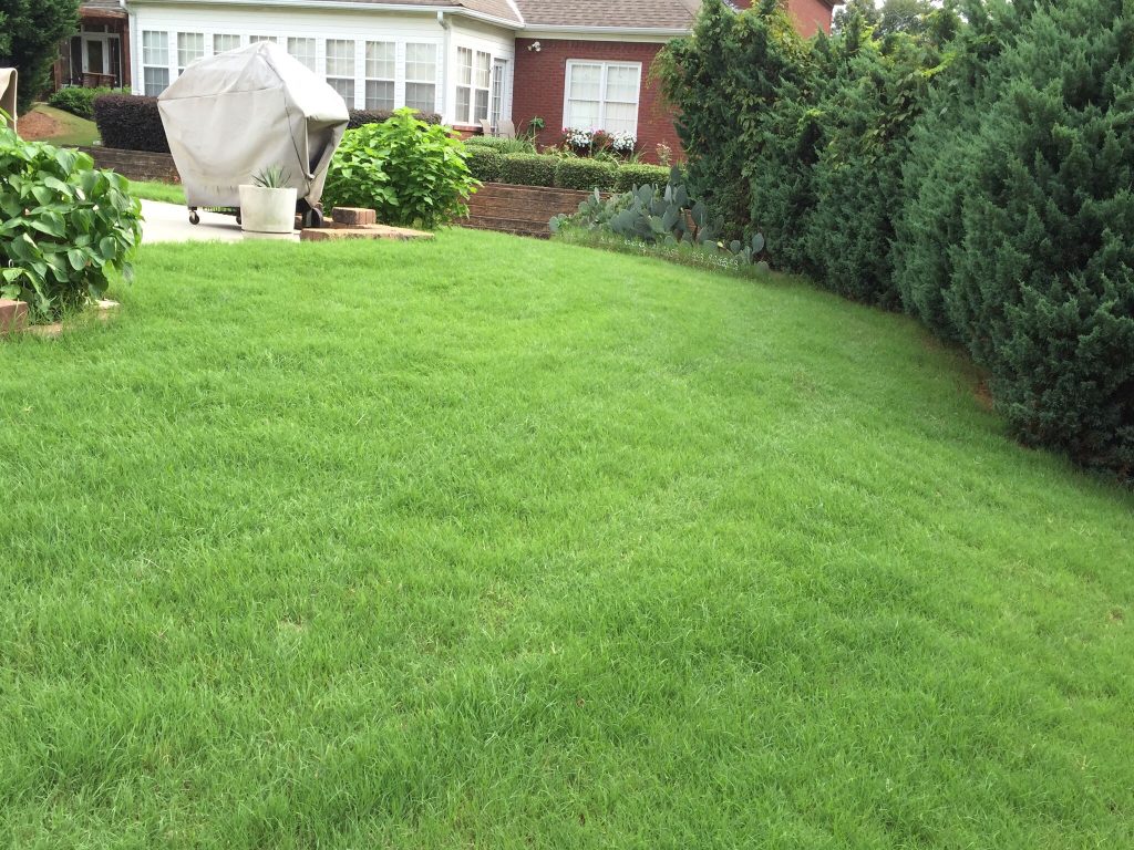 A beautiful backyard showing lawn weed control in Suwanee