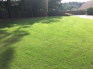 Manicured backyard showing lawn care services in Suwanee