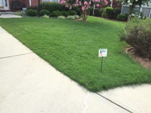 lawn care services in Suwanee 