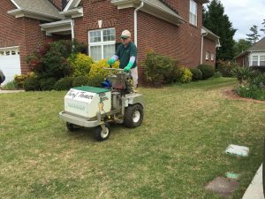 employee with turf tamer providing lawn seeding in Suwanee