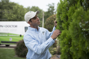 Lawn Doctor providing Tree Care in Lawrenceville