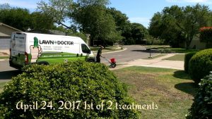 lawn doctor performing treatments in Cedar Park