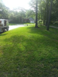 Service provide for green grass in Lago Vista