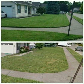 photo of grass helped by lawn aeration services