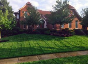 beautiful green grass treated by lawn services in Little Rock AR