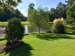 green grass with pond in background showing lawn care services in Little Rock