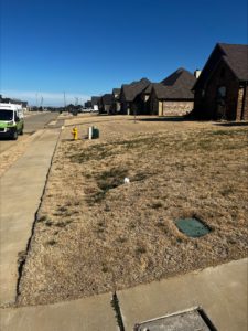 Weed Control in Longview