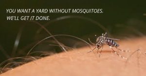 if you want a yard without mosquitoes choose Lawn Doctor mosquito control in Madison