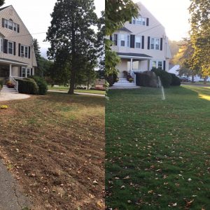 Before and after view of lawn services in Hartford