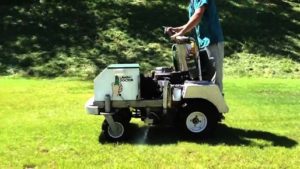 Qualities of a Great Lawn Care Company