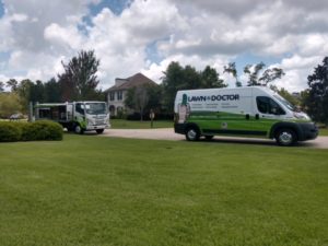 Showing off green lawn care in Mandeville