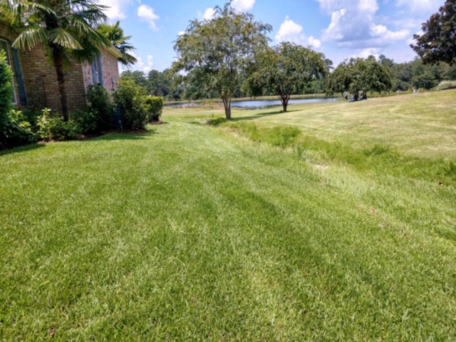 freshly cut lawn showing lawn care in Mandeville