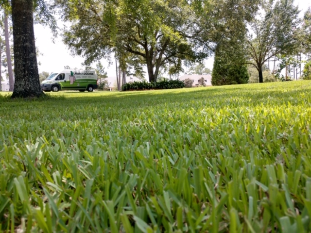 low to the ground photo of freshly worked on yard showing lawn care in Covington