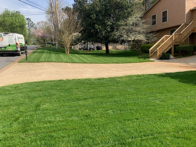 Post image Lawn After Annual Lawn care and Power seeding in Marietta, GA