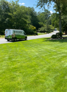 Professional Tick Control in Marietta