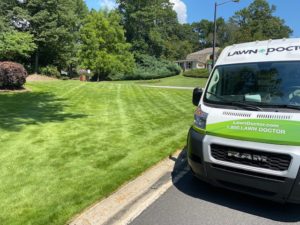 Lawn Fertilization in Marietta