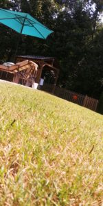 Grub Control in Fair Oaks
