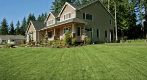 green grass treated by lawn care in Mullica Hill