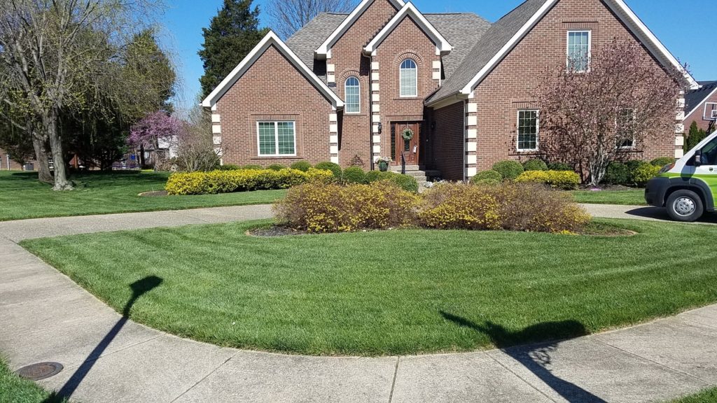 freshly done yard in front of large house showing lawn weed control in Louiseville