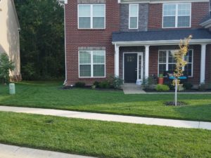house with beautiful front lawn showing lawn care services in Louisville
